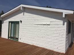 Best Steel Siding Installation  in Long Branch, NJ